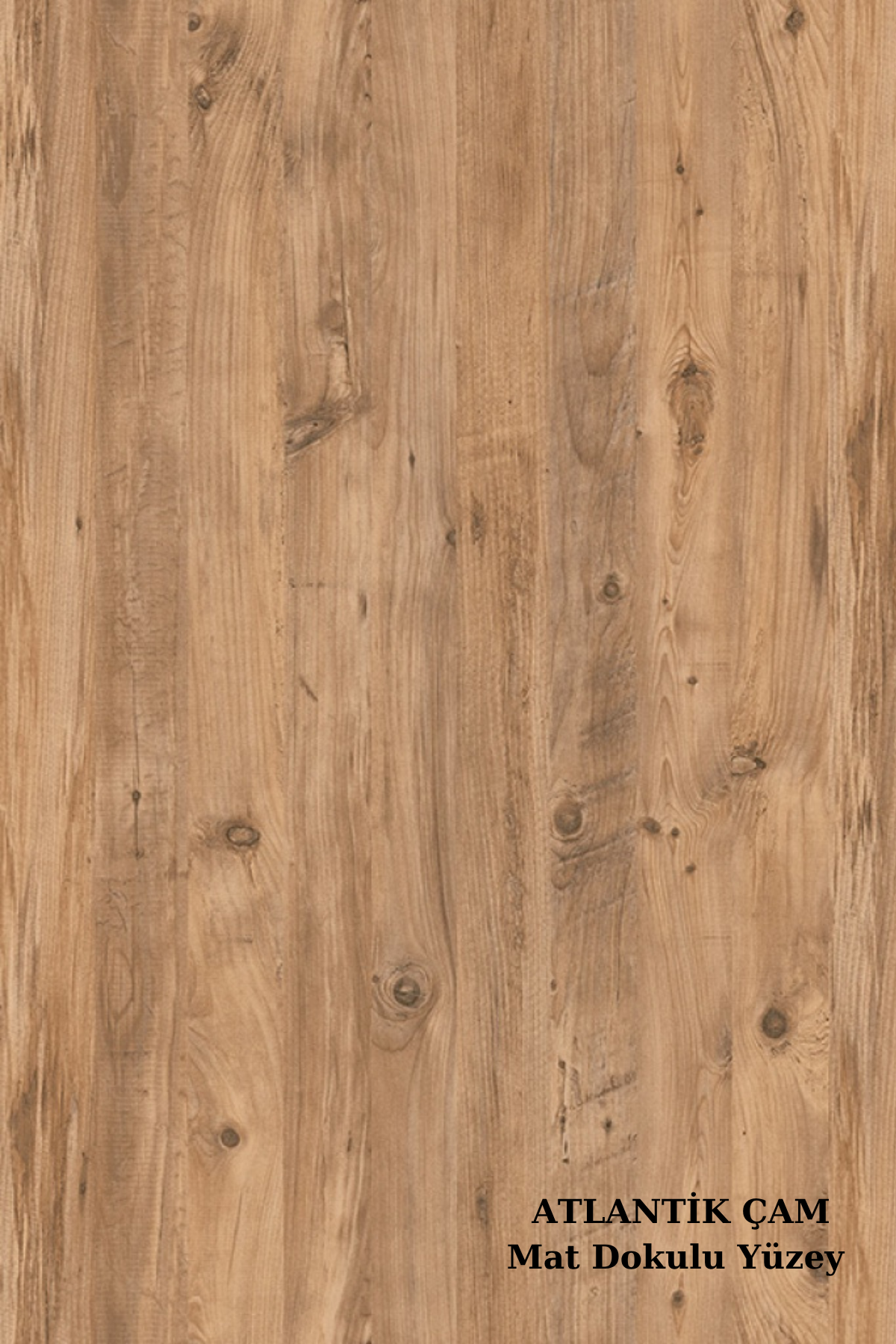 EVA Modern Çam Desenli Çalışma - Bilgisayar - Ofis - Oyuncu Masası