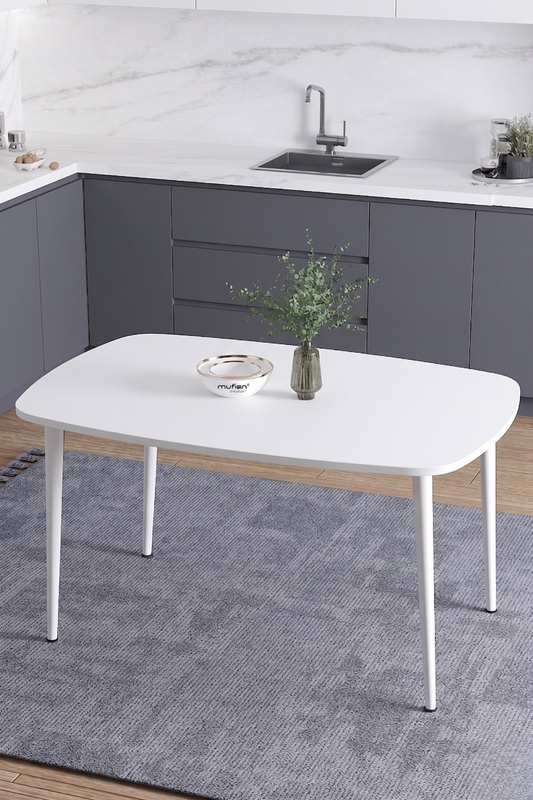 LUNA İskandinav Bohem Oval Beyaz Metal Ayaklı Beyaz Mutfak-Yemek-Balkon-Çalışma Masası